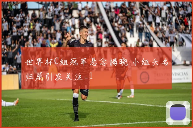 世界杯C组冠军悬念揭晓 小组头名归属引发关注_1