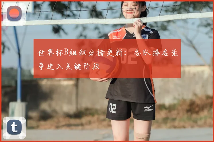 世界杯B组积分榜更新:各队排名竞争进入关键阶段